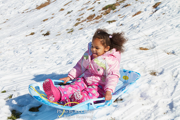 Young Girl Sledding