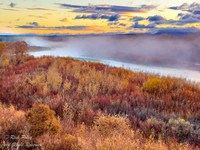 Rising Mist Along the Rio Grande River in Autum, NM