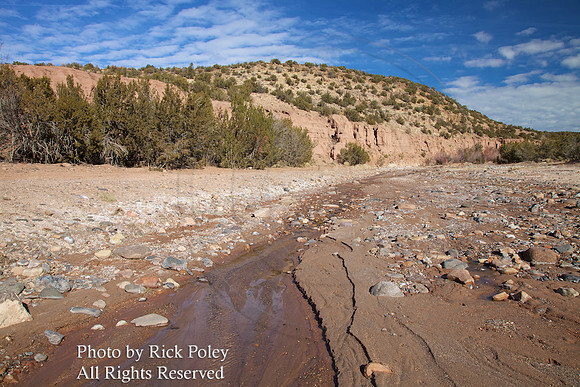 Vallecitos Creek,