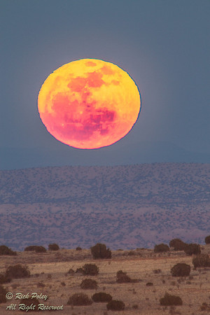 Blood Moon near Placitas, NM