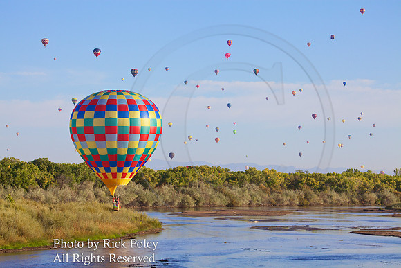 Hot Air Balloons over Rio Grande River, Albuquerque, NM