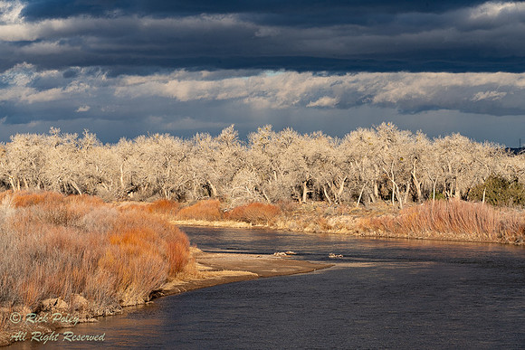 Storm Clouds Over the Rio Grande River Bosque, NM